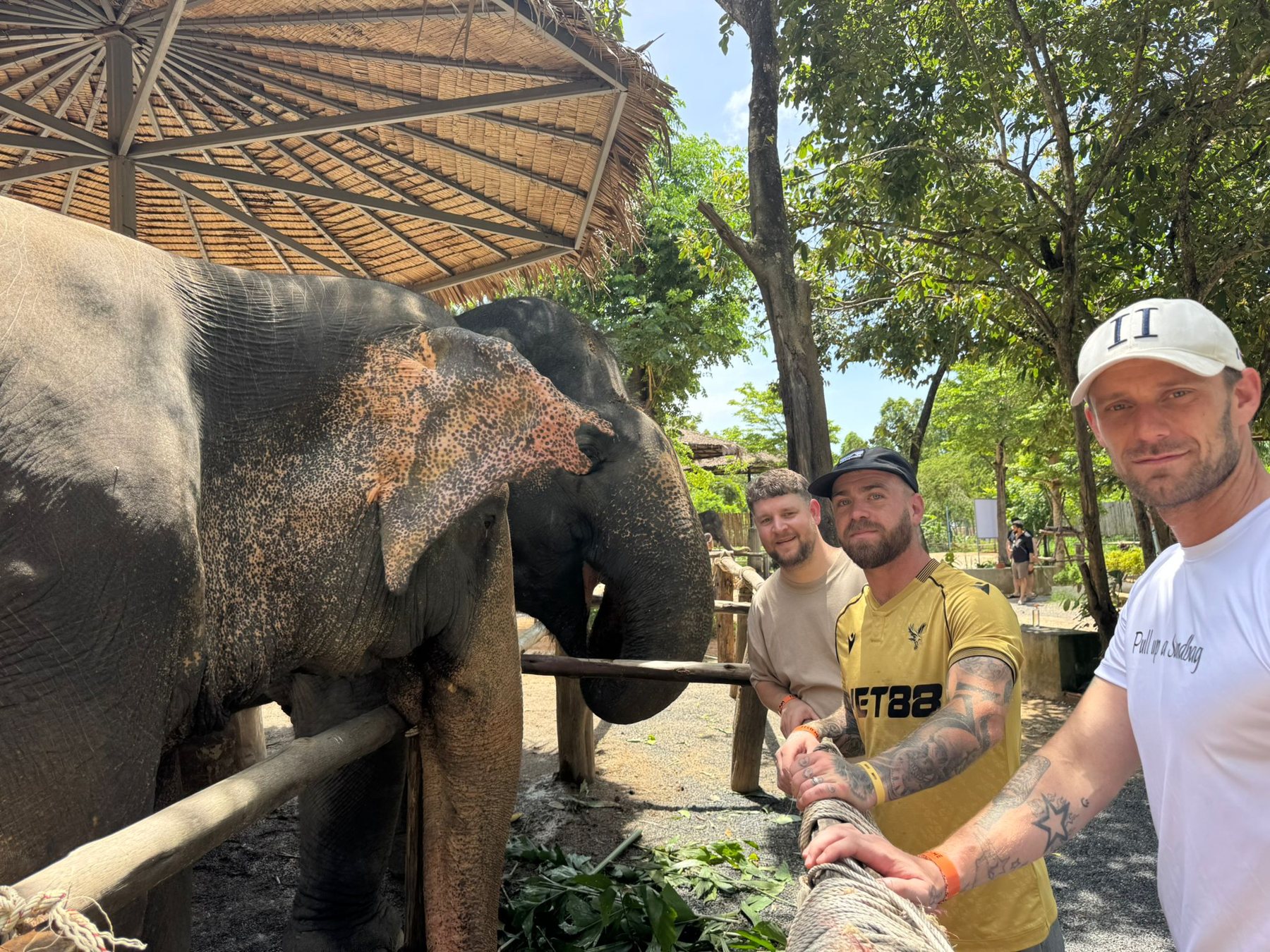 Veterans visiting an elephant sanctuary together during a Pull Up a Sandbag retreat